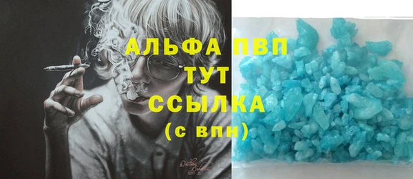 амф Белокуриха