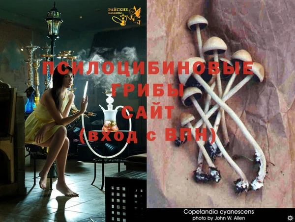 амф Белокуриха