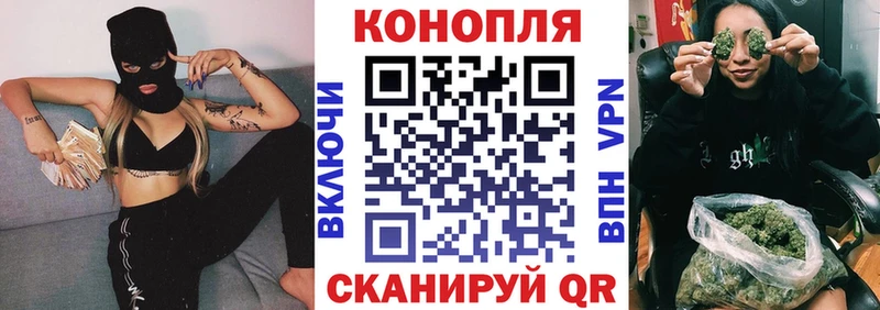 Конопля сатива  сайты даркнета телеграм  Жирновск 